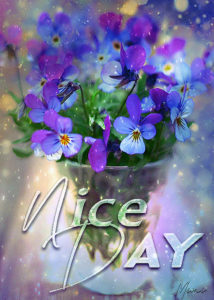 Good morning HD images 2022