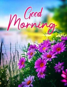 Good morning HD images 2023