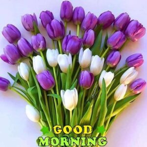 Good morning aunty images