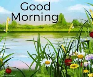 Good morning evening images