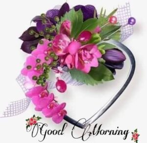 Good morning fog images