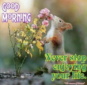 Good morning gif images funny