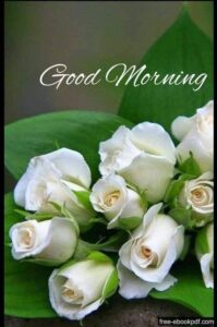 Good morning happy Sunday beach images