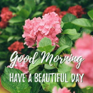 Good morning happy Sunday image