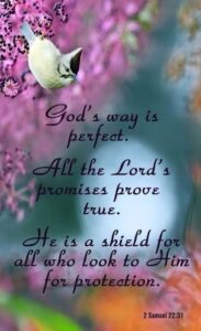 Good morning images autumn