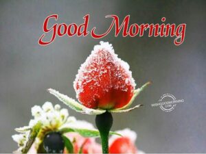 Good morning picture images