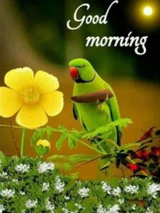 Good morning sexy images
