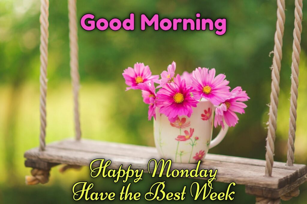 Happy Monday