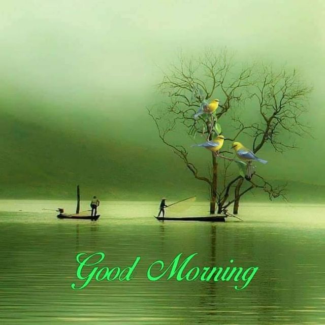 Have a nice day images with good morning