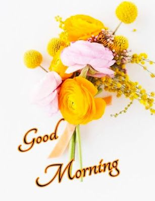 Love good morning gif images