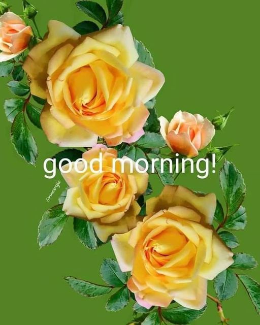 Monday good morning wishes with god images