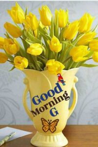 Radha Krishna good morning image