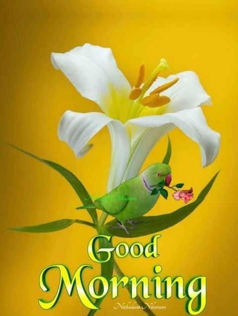 Rain day good morning images