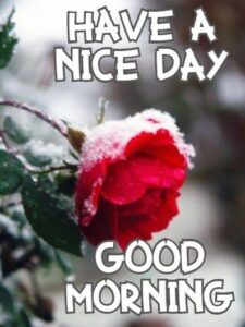 Smitcreation good morning images