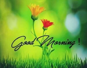Very good morning images