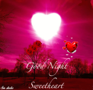 Autumn Good Night GIF