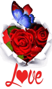 Bear I Love You GIF