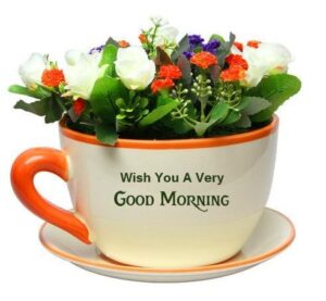 Beautiful Good Morning GIF Images