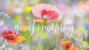Beautiful Good Morning image