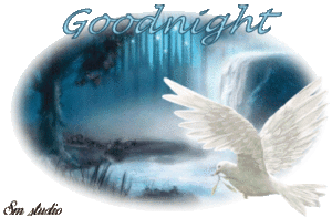 Beautiful Good Night GIF images