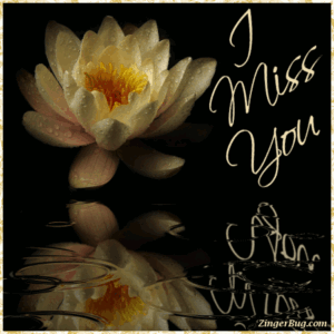 Bitch I Miss You GIF