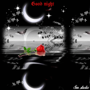 Blessed Good Night GIF