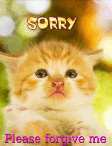 Boog Is Sorry GIF