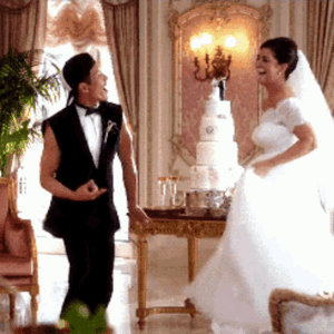 Cat Wedding GIF