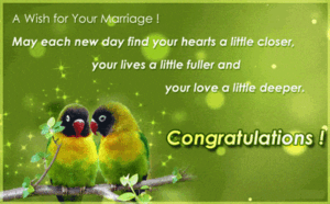 Congratulations On Wedding GIF