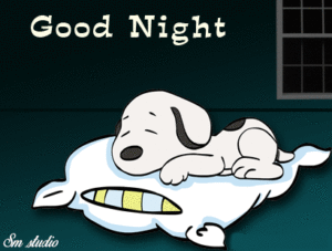 Cute Funny Good Night gif