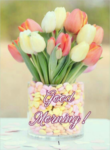 Flowers with Good Morning images