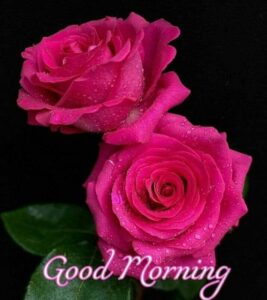 Free Good Morning images