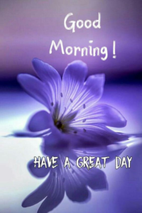 Friday Good Morning images
