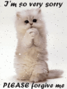 GIF Sorry Images