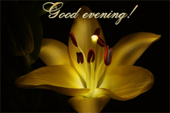 Good Evening GIF Images