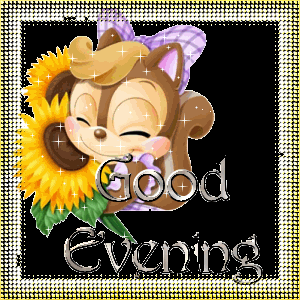 Good Evening Meme GIF