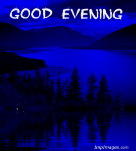 Good Evening My Love GIF