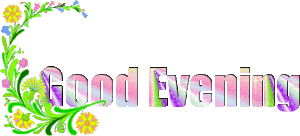 Good Evening Vine GIF