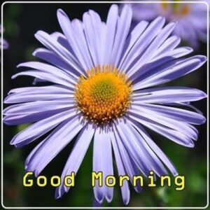 Good Monday Morning images
