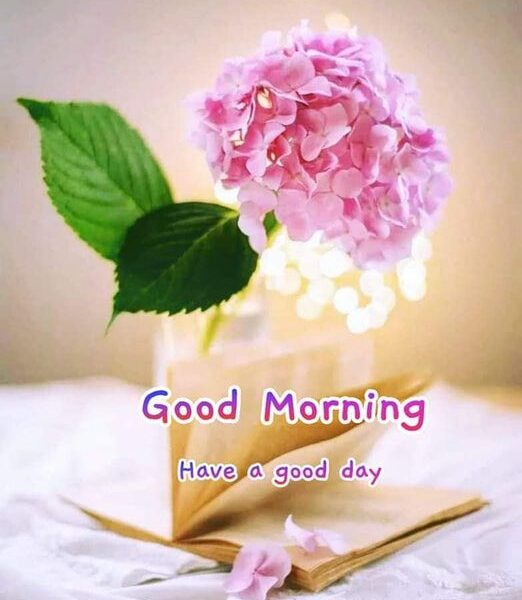 Good Morning African American images