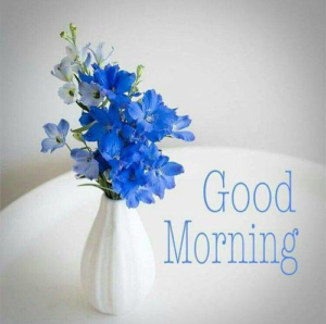Good Morning Animals GIF images