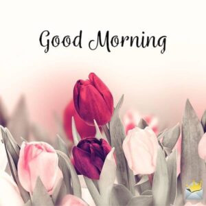 Good Morning Beautiful image
