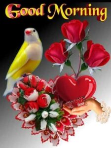 Good Morning Birds Images