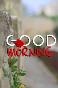 Good Morning Black Woman images