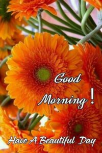 Good Morning Cartoon images