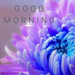Good Morning Coffee Images