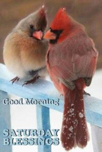 Good Morning Happy Sunday Winter images