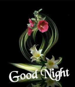 Good Morning Happy Sunday images