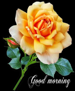 Good Morning Happy Thursday Winter Images