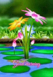 Good Morning Happy Thursday images